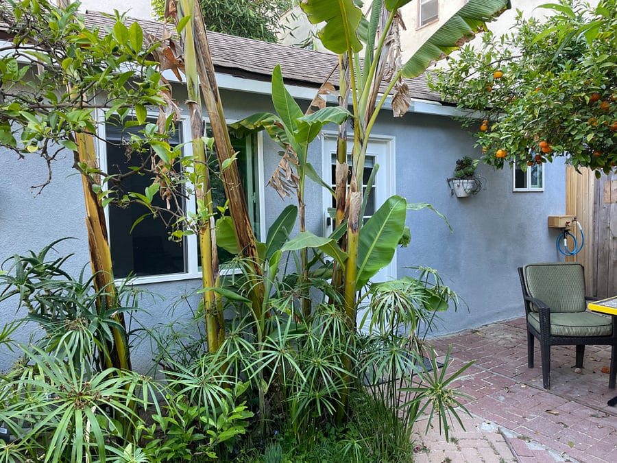 Furnished Finder property 743701_1 photo 7