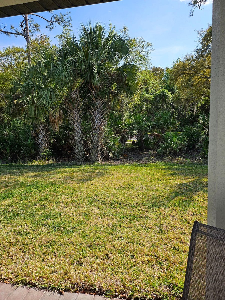 Furnished Finder property 743766_1 photo 23
