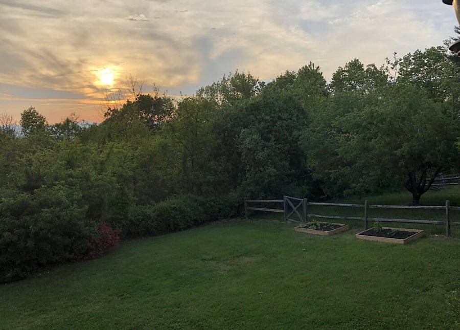 Backyard Gardens