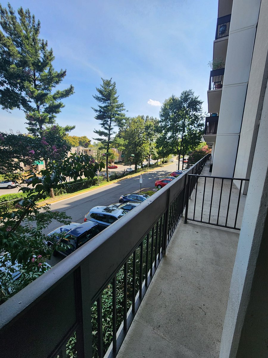 Furnished Finder property 743892_1 photo 28
