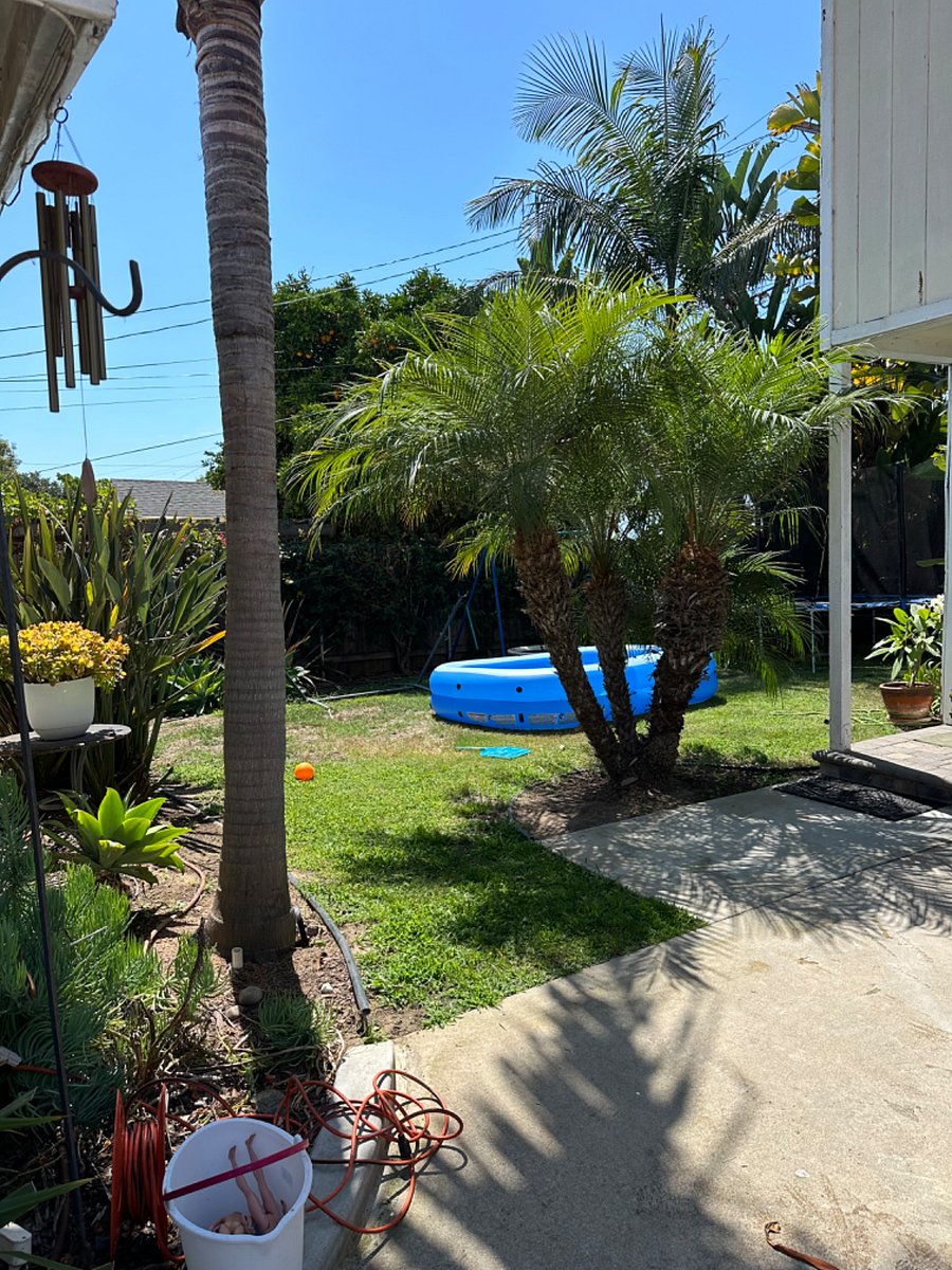 Furnished Finder property 743934_1 photo 17
