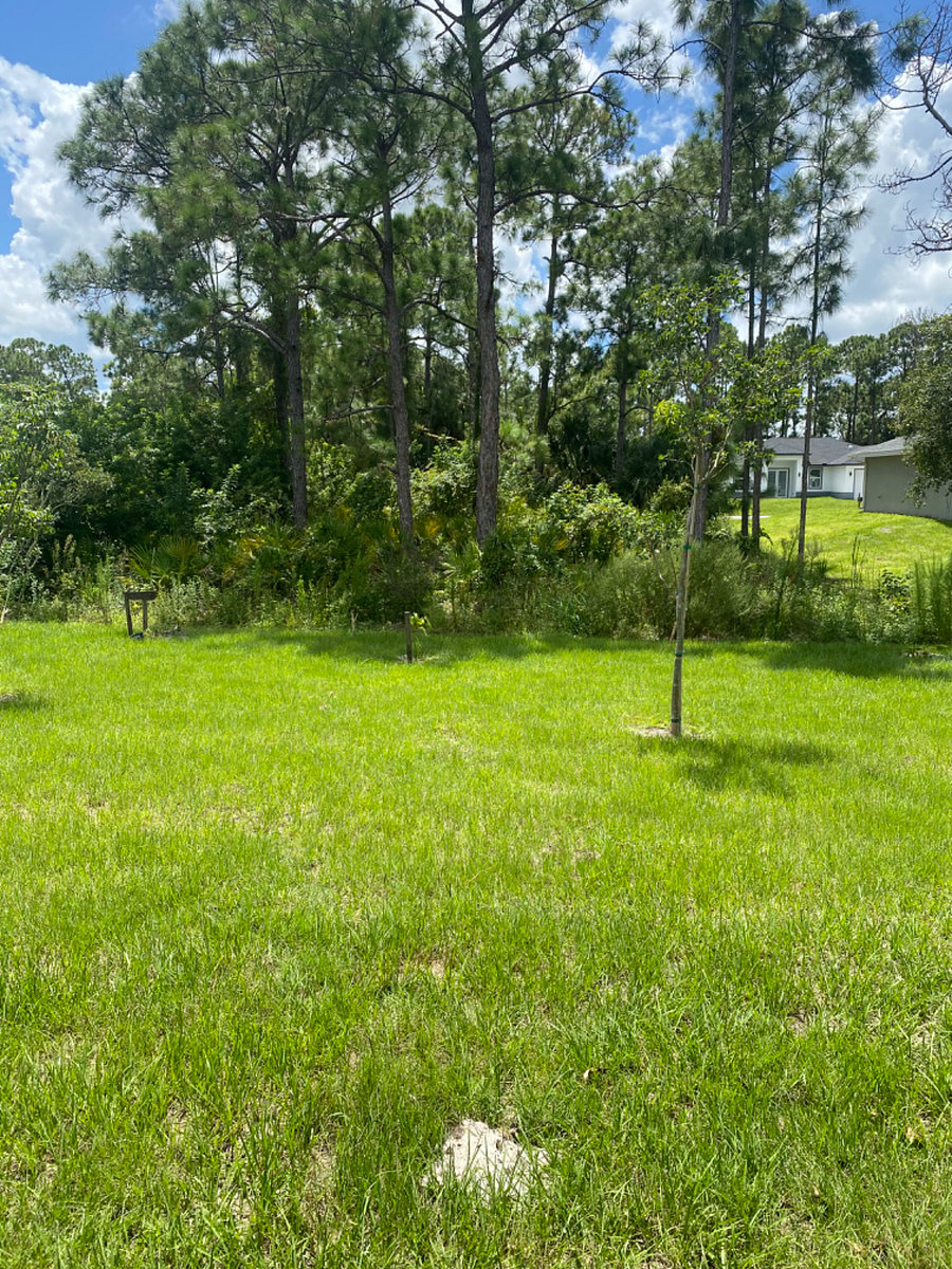 Furnished Finder property 743947_1 photo 16