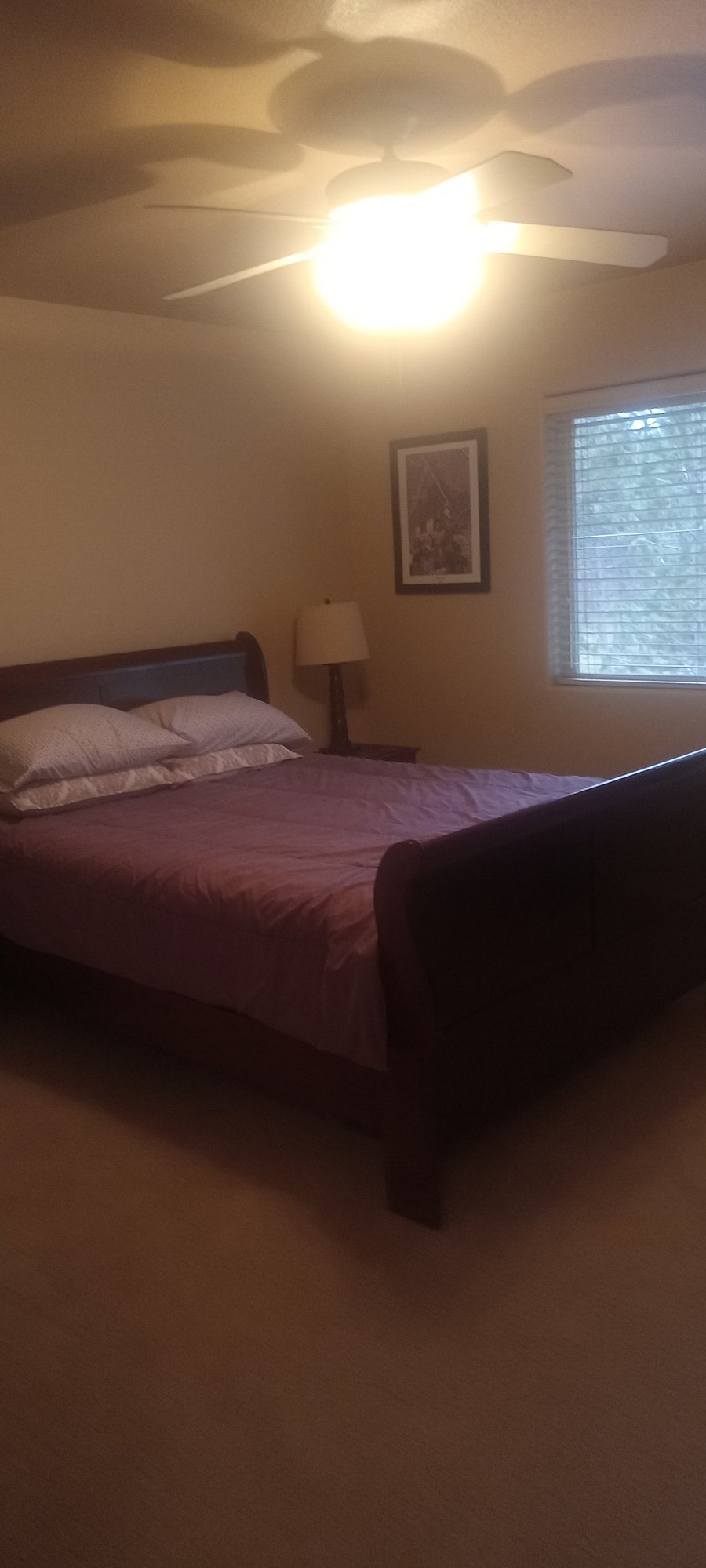 Furnished Finder property 744311_1 photo 6