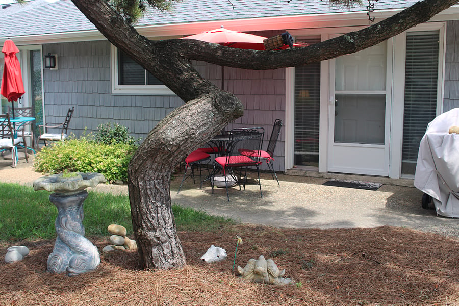 Enjoy grilling and dining al fresco on your private patio