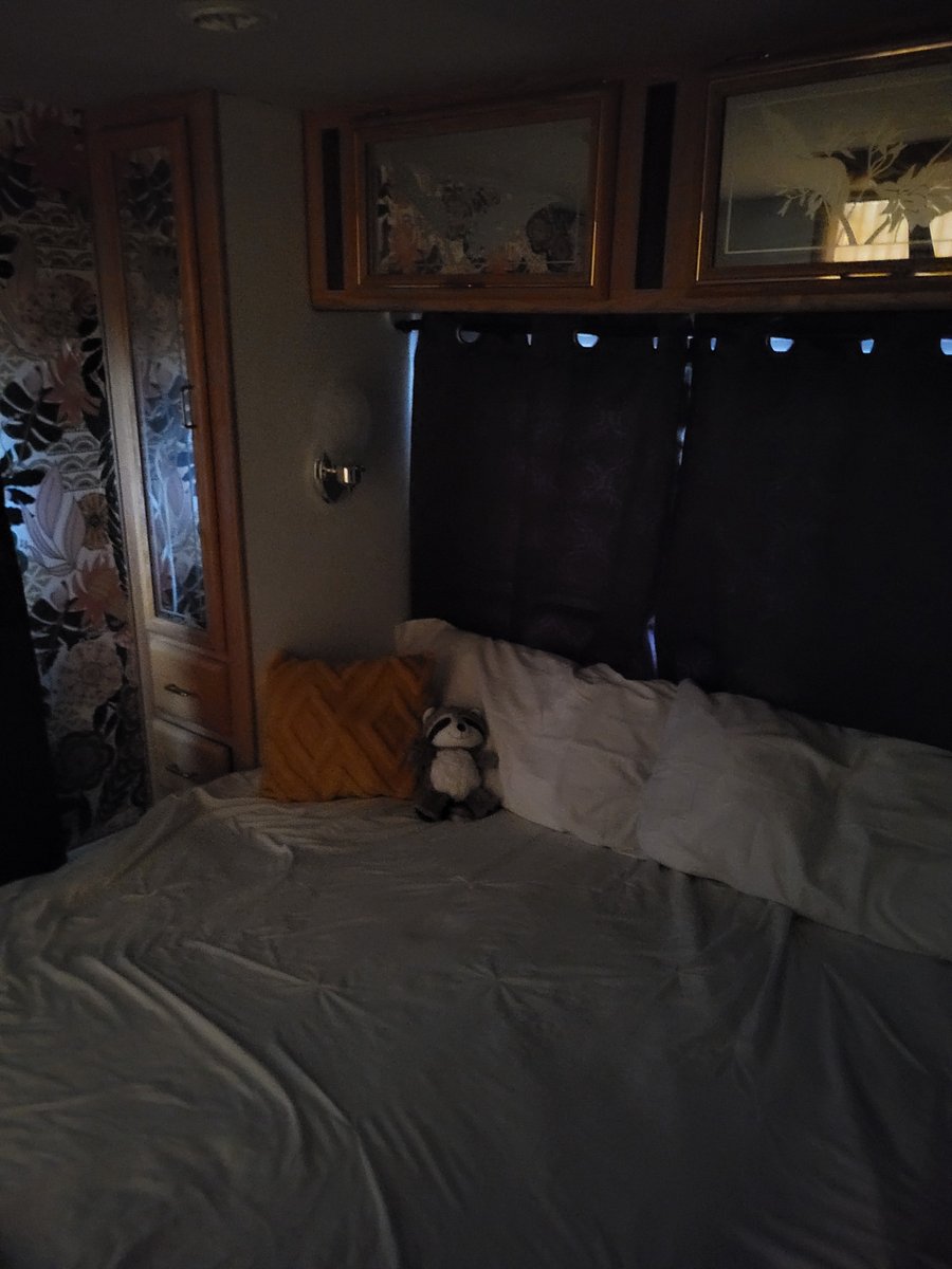 Black out curtains in bedroom.