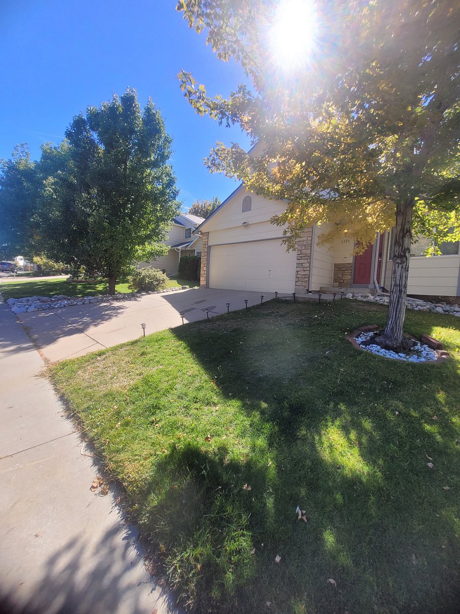 Furnished Finder property 744633_1 photo 4