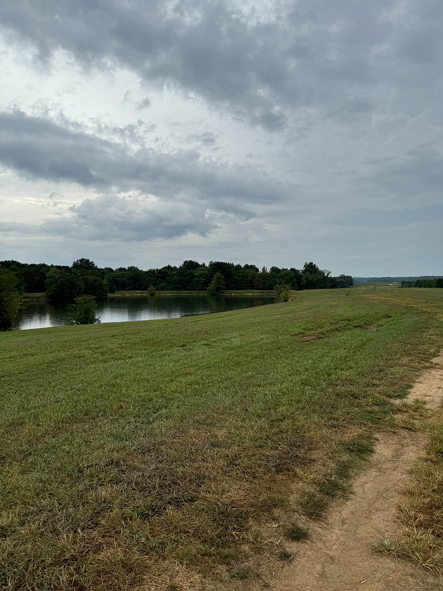 Less Than 2 miles from Shelby Farms