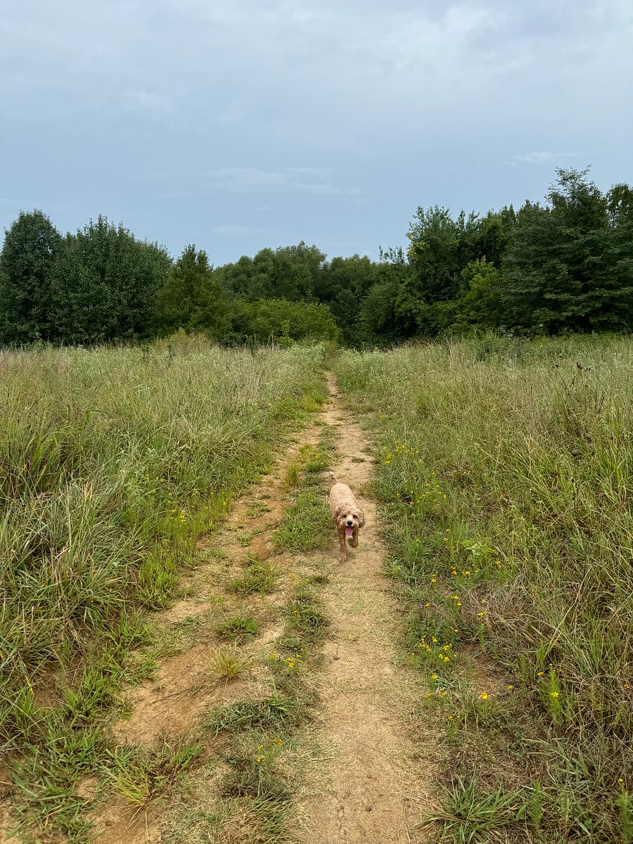 Near Friendly trails