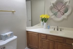 Downstairs half bathroom
