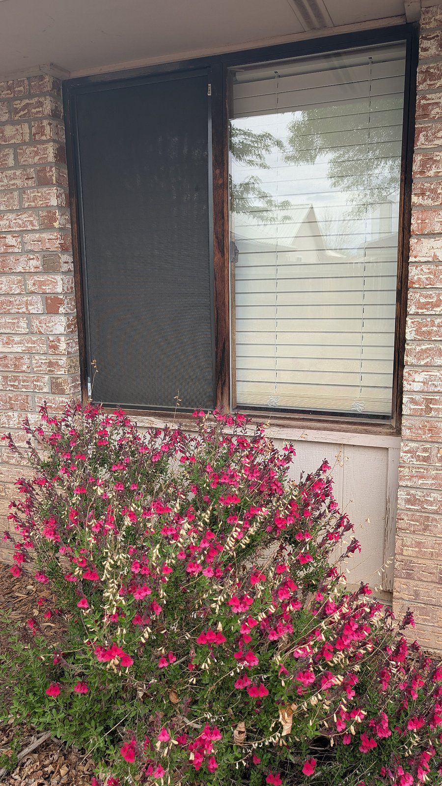 Furnished Finder property 745328_1 photo 13