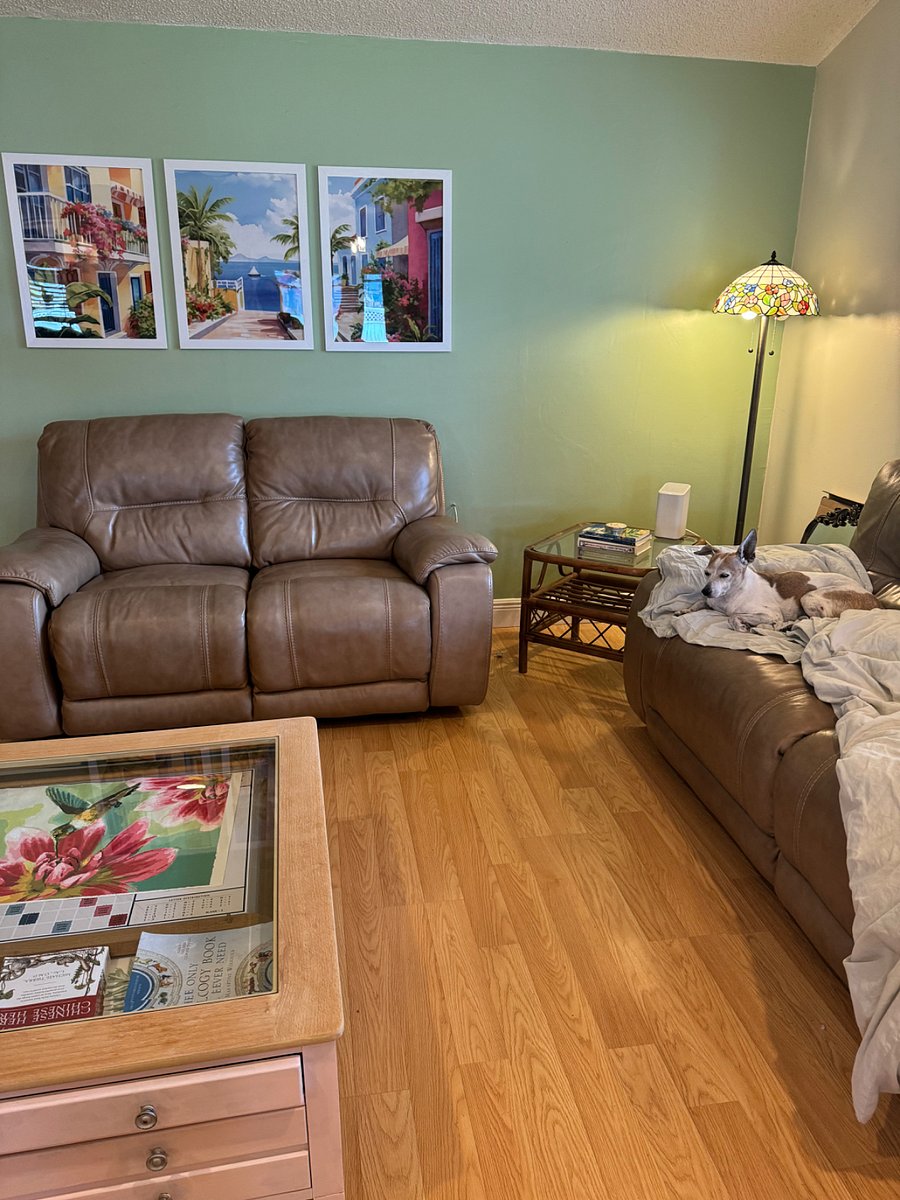 Reclining couches