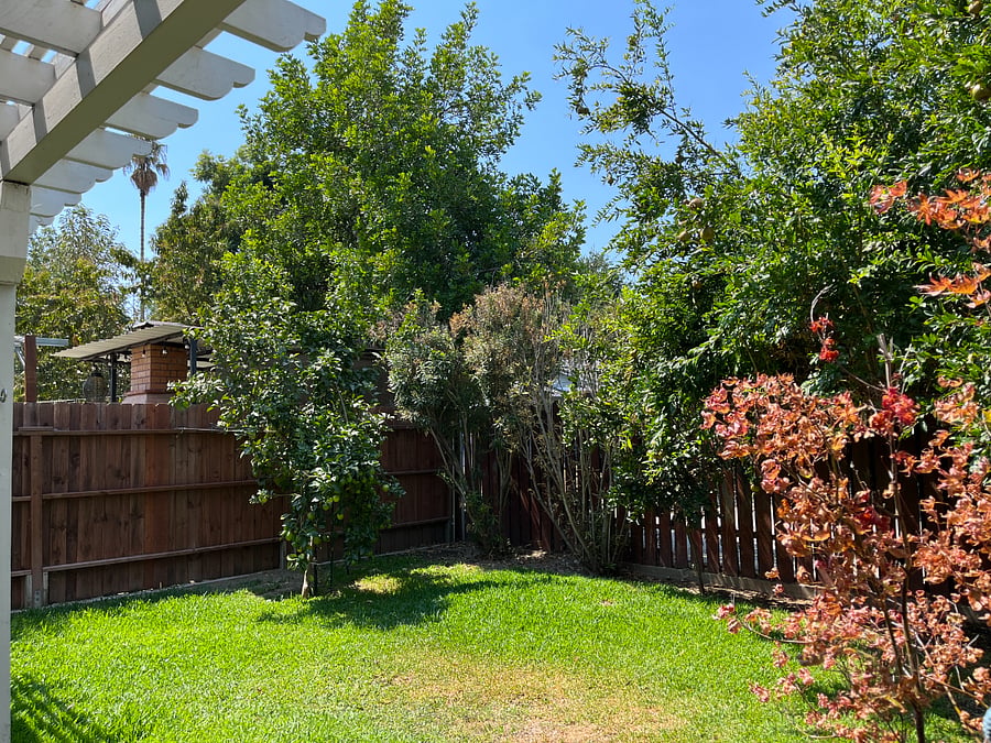Furnished Finder property 745374_1 photo 20