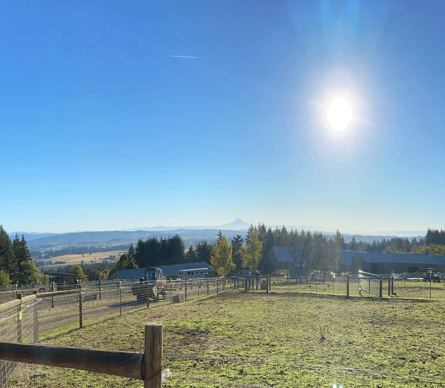 Enjoy some outdoors time on our 1 mile secure walking path.