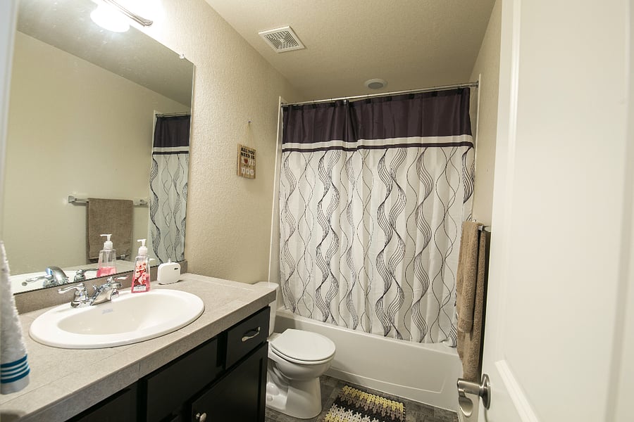 Shared bathroom, one of three in the house.