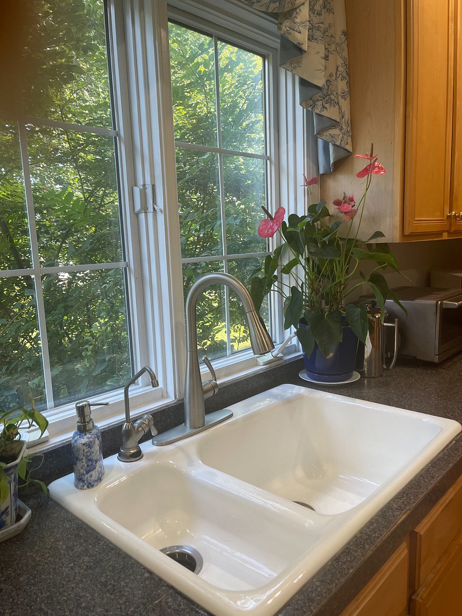 Kitchen Sink with Reverse Osmosis Water Filter Tap