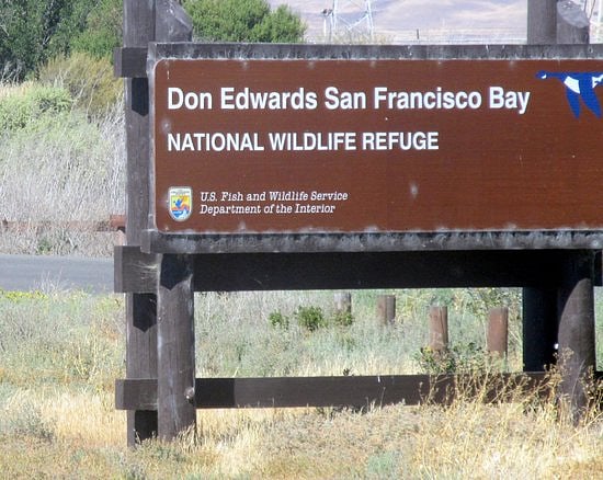 We are near Baylands Park