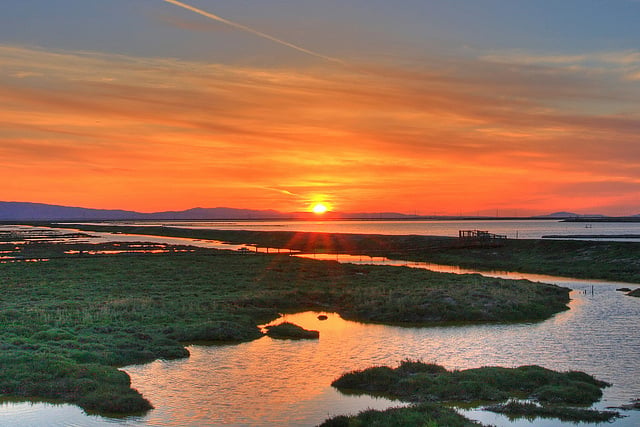 We are near Baylands Preserve Beautiful Sunsets!!