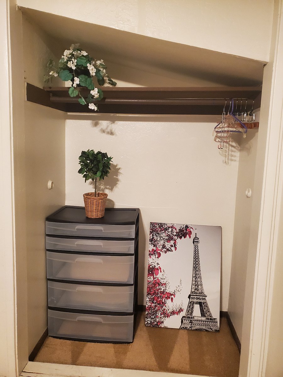 Closet w/ Organizer