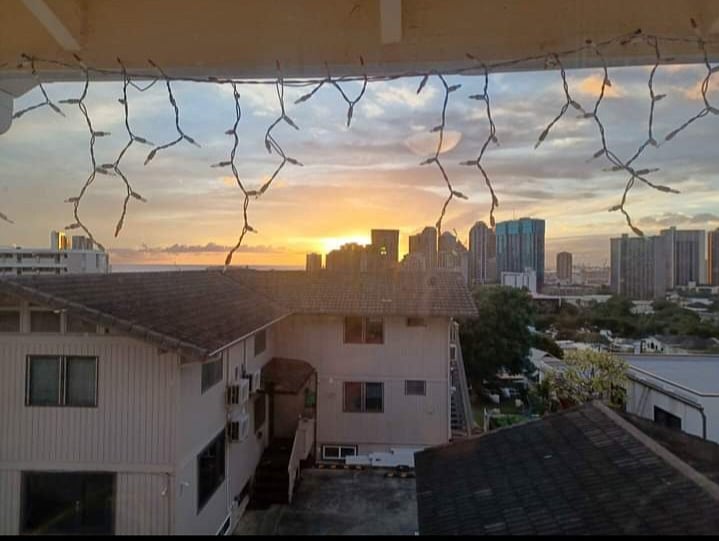 View from kitchen window 