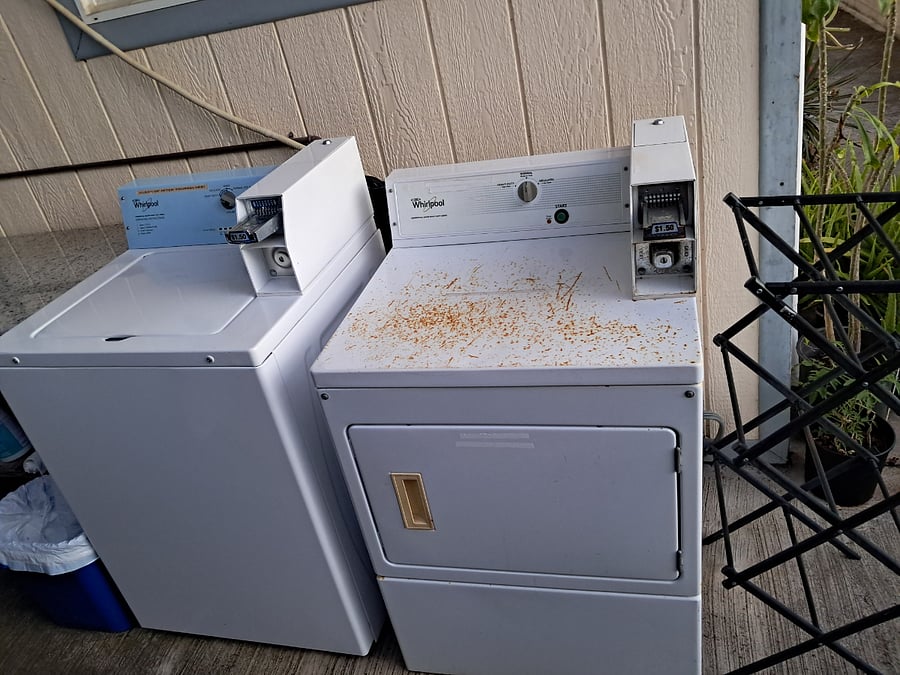 Coin-Op Washer n dryer downstairs