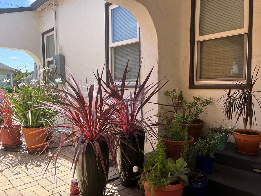 Furnished Finder property 746119_1 photo 14