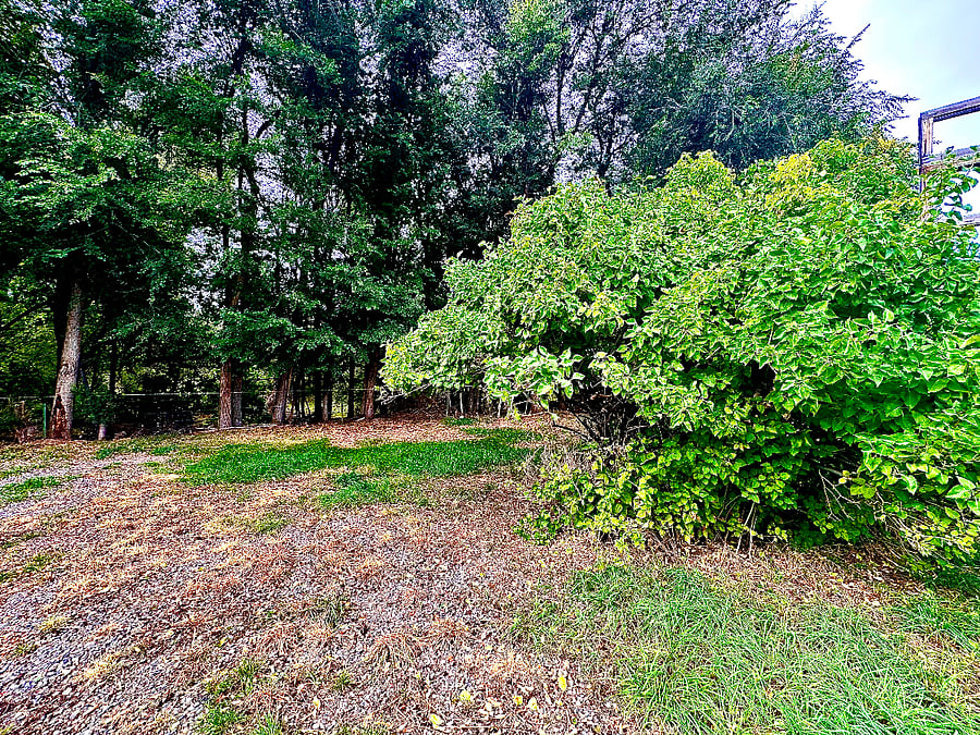 Furnished Finder property 746196_1 photo 23