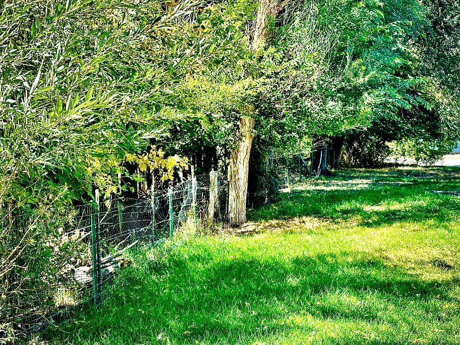 Furnished Finder property 746196_1 photo 19