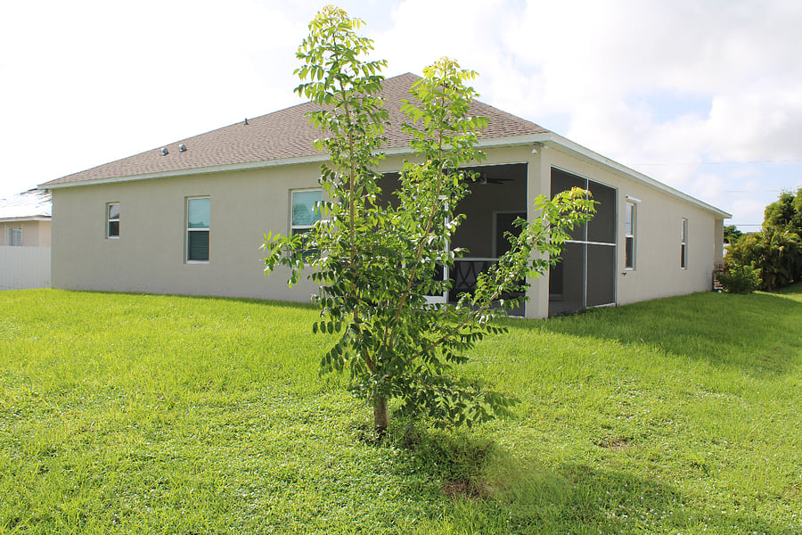 Furnished Finder property 746371_1 photo 14