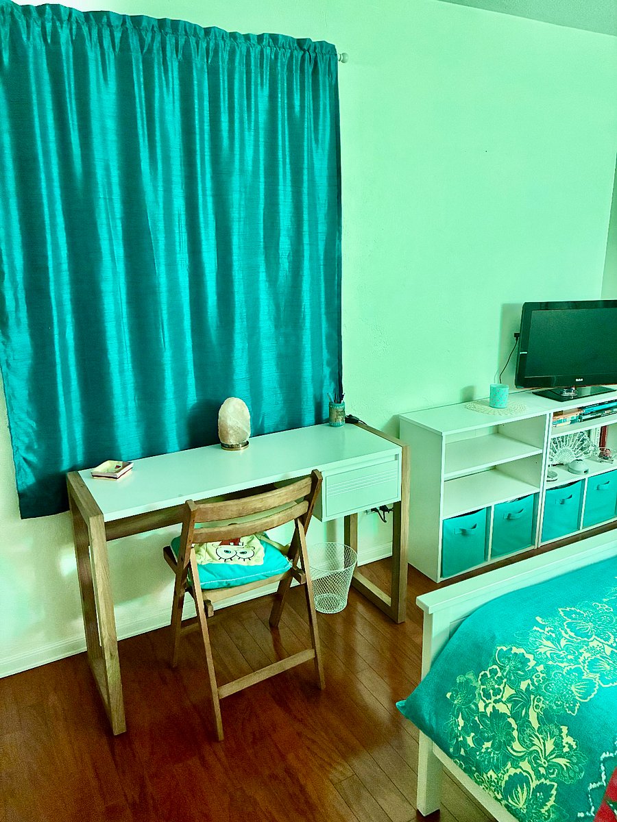 Desk by window, shelves space and TV Roku Fire Stick 