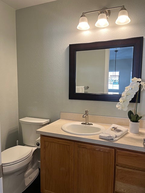 Furnished Finder property 746679_1 photo 5