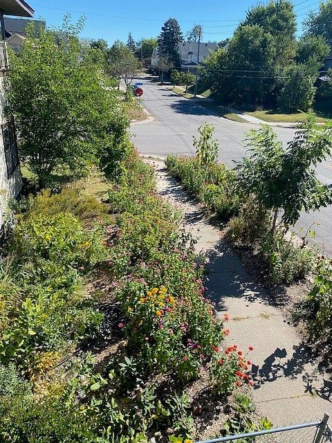 This is our lovely pollinator garden on the south side of the house.
