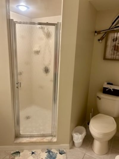 Master Bathroom Walk-In Shower