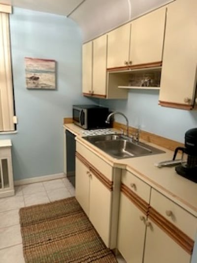 Kitchen Sink and garbage disposal.