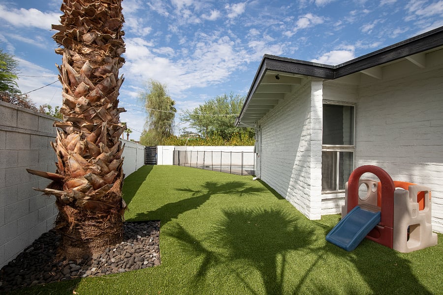 Backyard