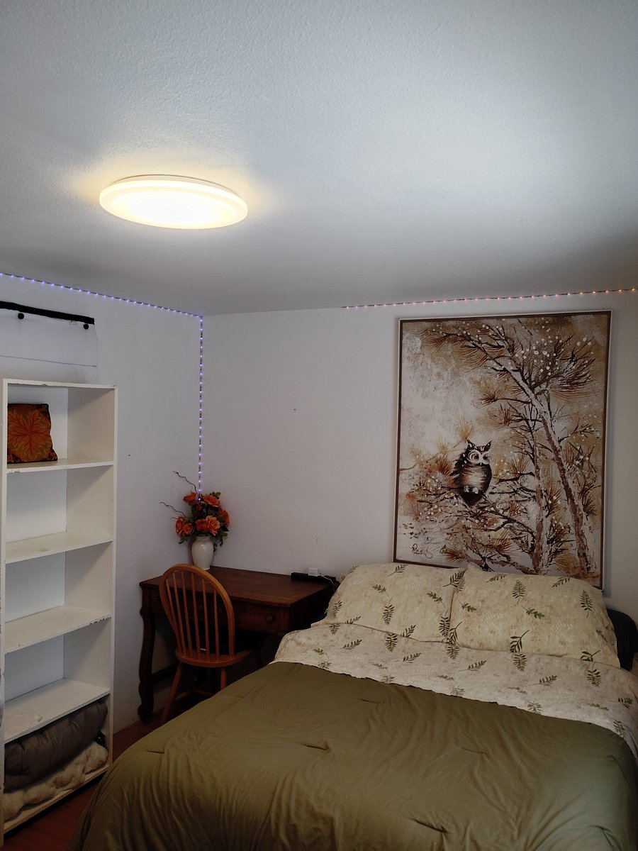 Furnished Finder property 747214_1 photo 10