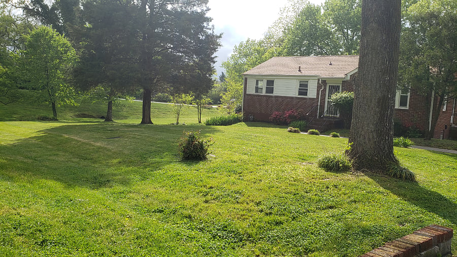 Furnished Finder property 747228_1 photo 17