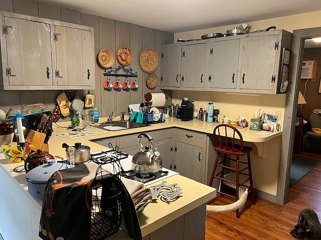 Kitchen. (Currently occupied when photo was taken.)