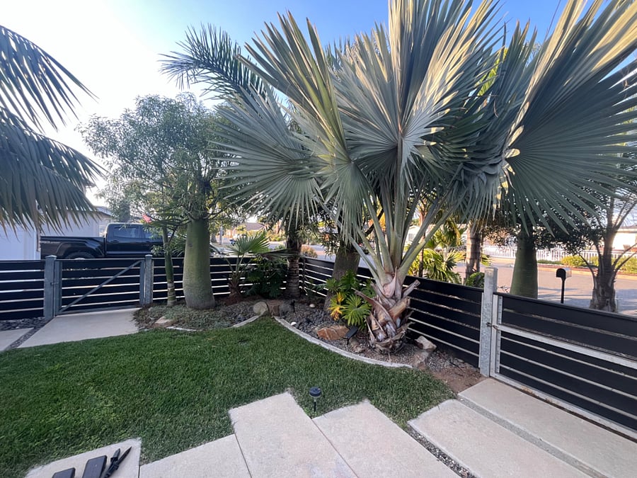 Furnished Finder property 747372_1 photo 3