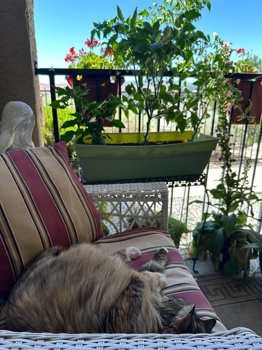 Summers I "Plant" a garden and it's nice to sit outside. View of the mountains is a plus.