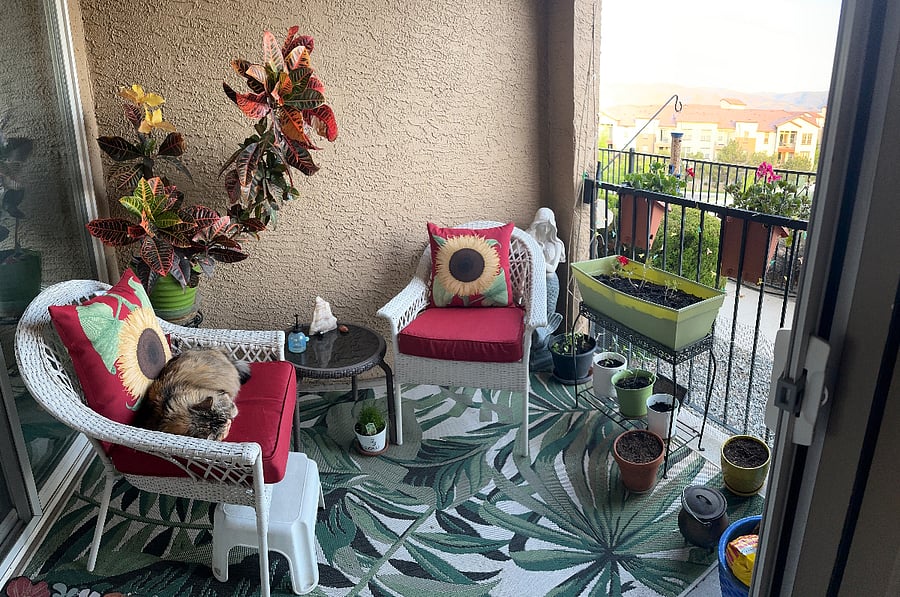 Furnished Finder property 747635_1 photo 15