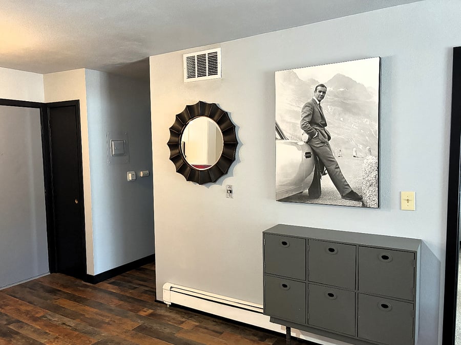All common areas have been upgraded with Luxury Vinyl Plank flooring
