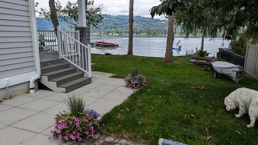 Your Entrance is on this patio. The dog is the owners but she loves company.