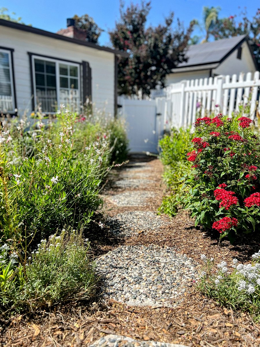 Front Yard Garden