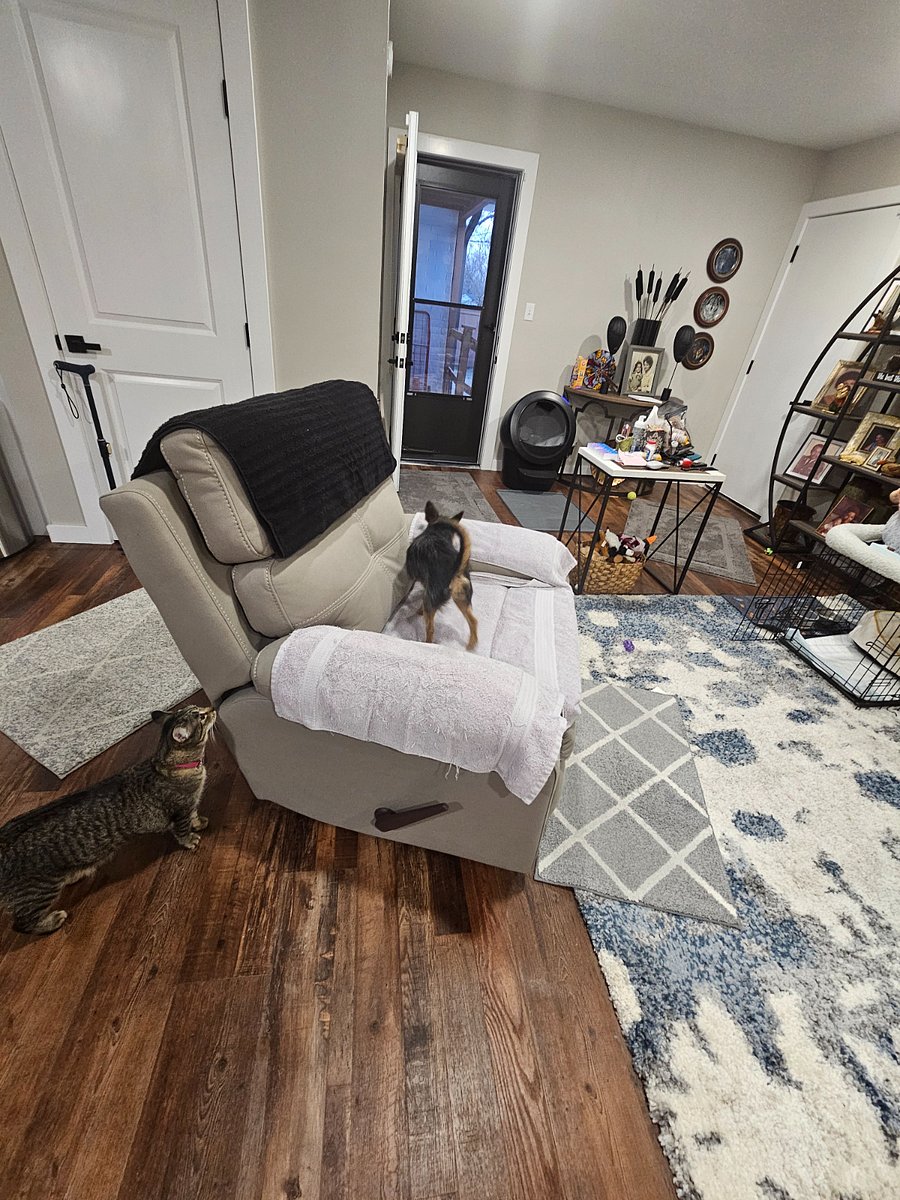 Furnished Finder property 747898_2 photo 9