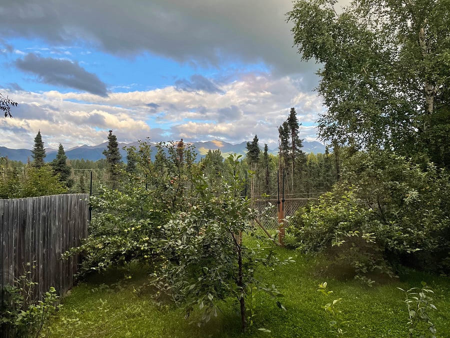 view from bedroom window