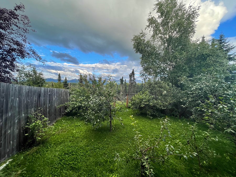 Garden/Mountain view from private living room sliding door