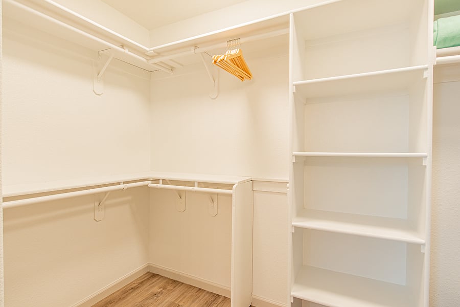 Walk-in Master Closet