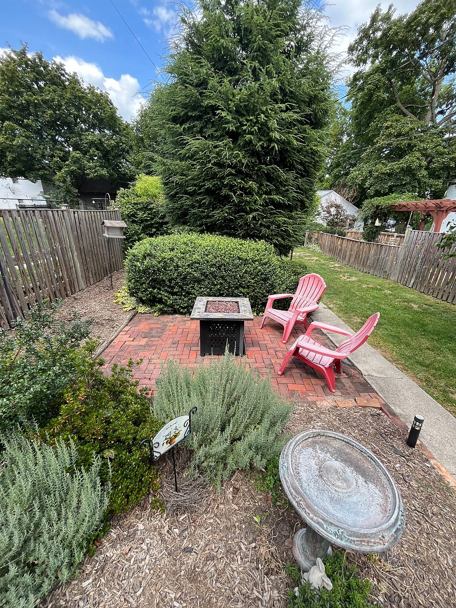 Backyard & Patio 