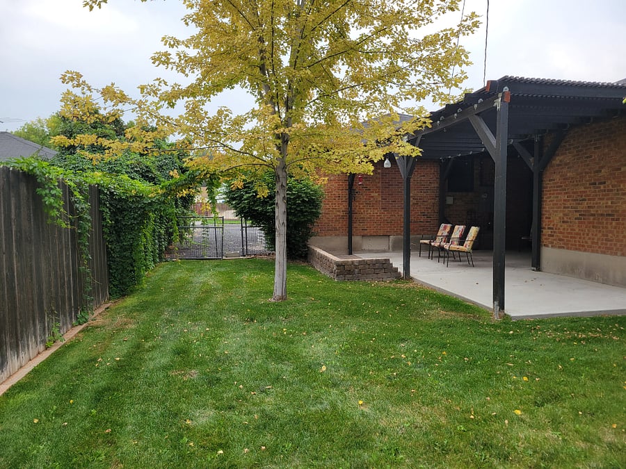 Part of backyard and patio