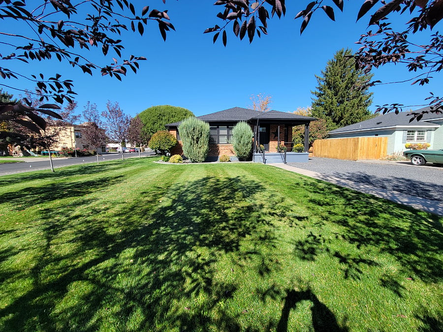 Front yard 